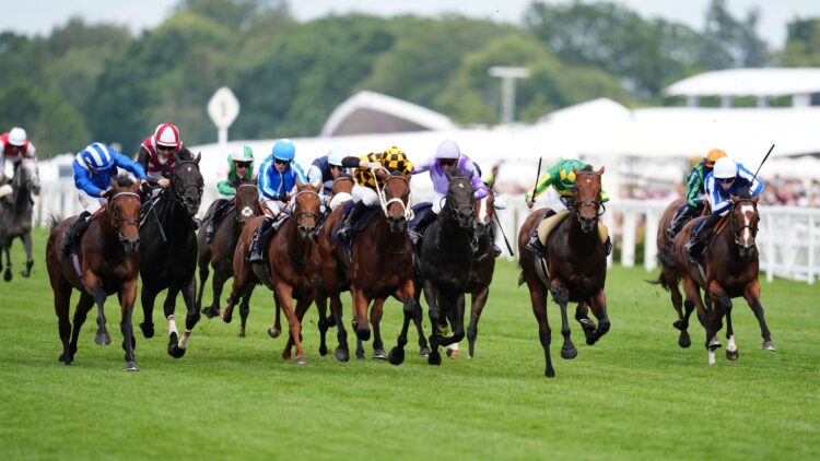 Алмерак вырвал победу в спринтерском финише Royal Ascot