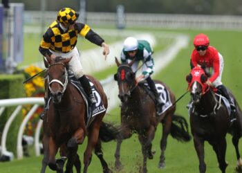 Финал Royal Ascot: Joliestar и австралийский десант в королевском призе