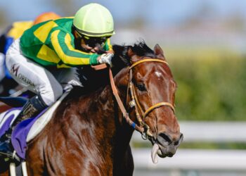 Сатоно Реве — главный фаворит Queen Anne на Royal Ascot