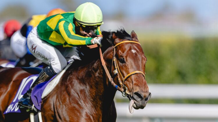 Сатоно Реве — главный фаворит Queen Anne на Royal Ascot