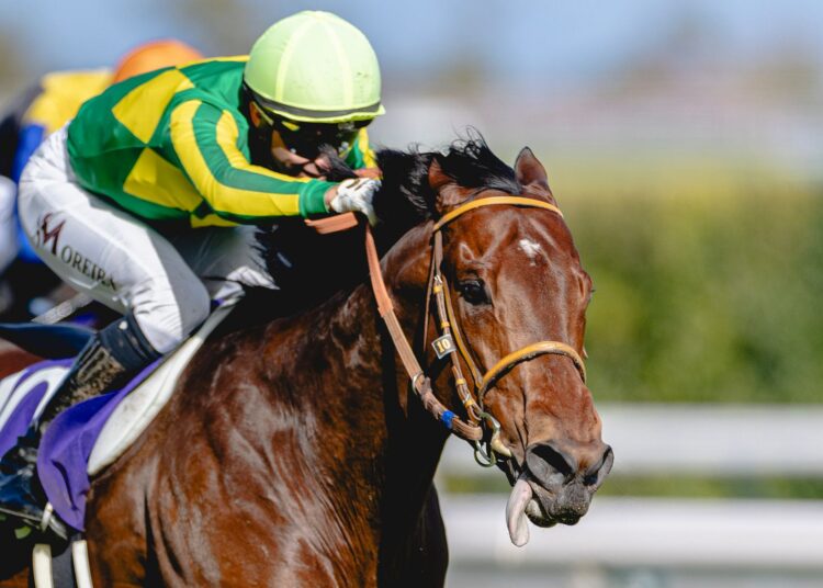 Сатоно Реве — главный фаворит Queen Anne на Royal Ascot