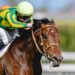 Сатоно Реве — главный фаворит Queen Anne на Royal Ascot