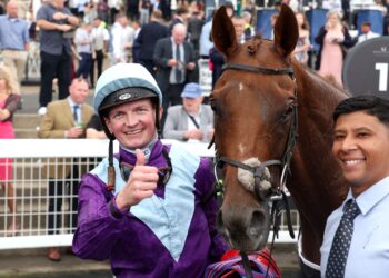 Spirit Mixer попробует отстоять титул на Northumberland Plate в Ньюкасле