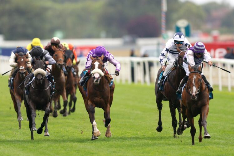 Ebor Handicap в Йорке: прогнозы Джонатана Дойджа